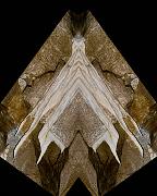 Cave Formation Angel  3138 Reflected